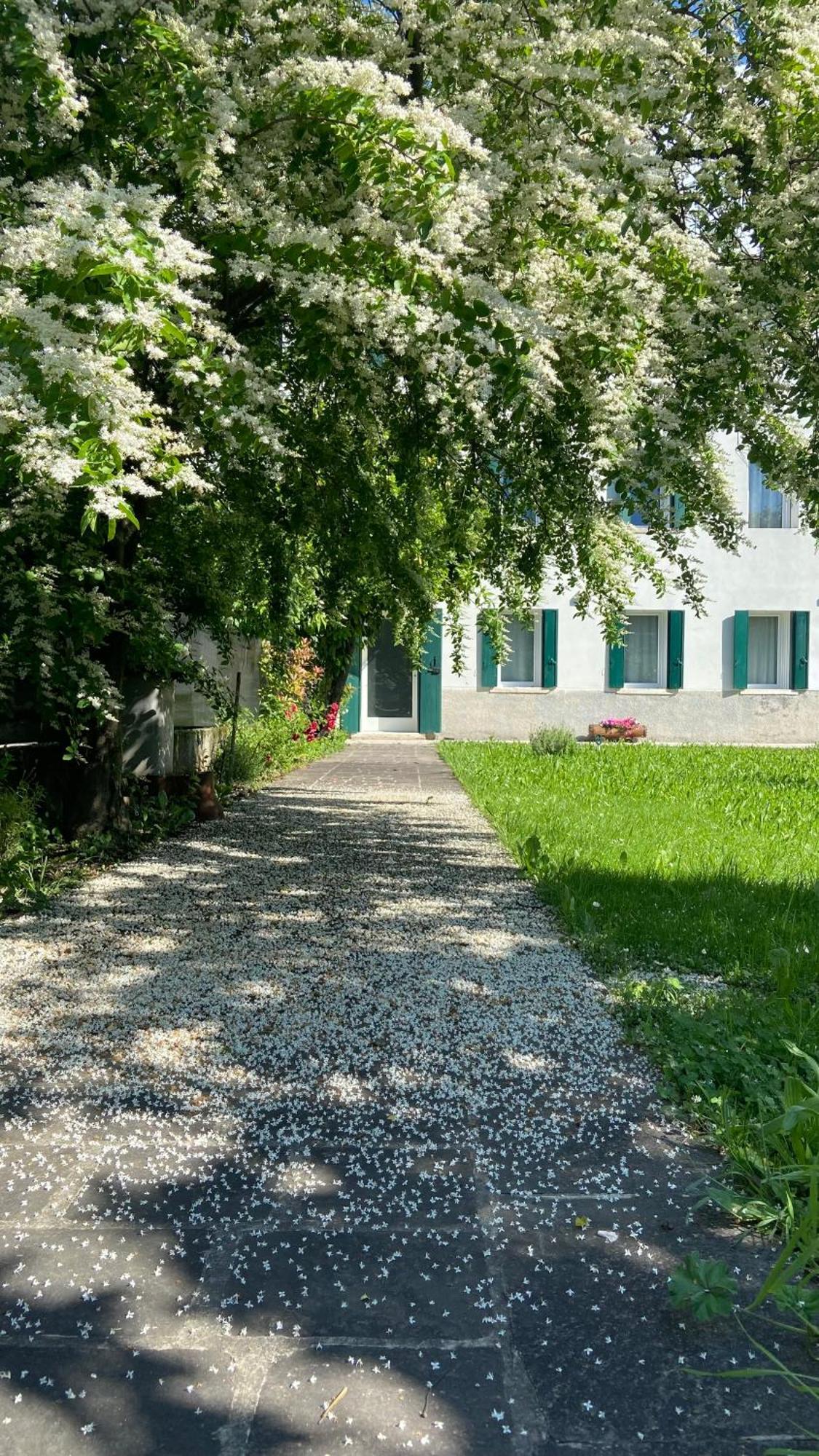 Magnolia 41 Appartement Possagno Buitenkant foto